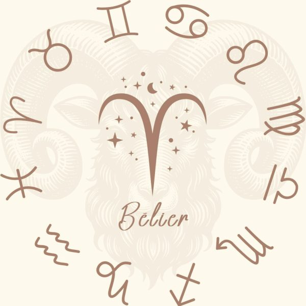Bélier Coffret Zodiac Bélier fondants parfumés Oeil de Tigre
