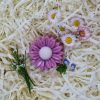 Marguerite mure myrtille Fondant parfumé Mûre Myrtille en forme de marguerite – senteur cassis, violette, vanille et praline"