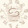 CancerF Coffret Zodiac Cancer fondants parfumés Rhodonite