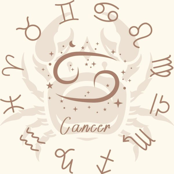 CancerF Coffret Zodiac Cancer fondants parfumés Rhodonite