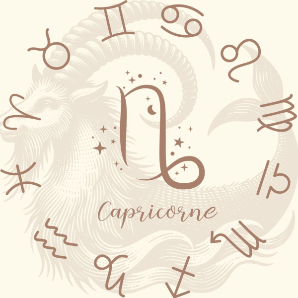 CapricorneF Coffret Zodiac capricorne fondants parfumés quartz fumé