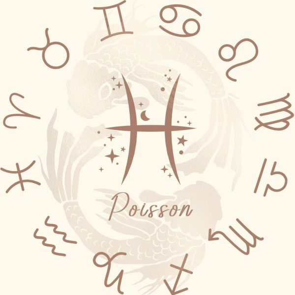 PoissonF Coffret Zodiac Poisson fondants parfumés Labradorite
