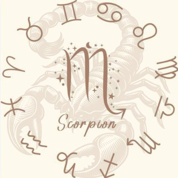 ScorpionF Coffret Zodiac Scorpion fondants parfumés Obsidienne