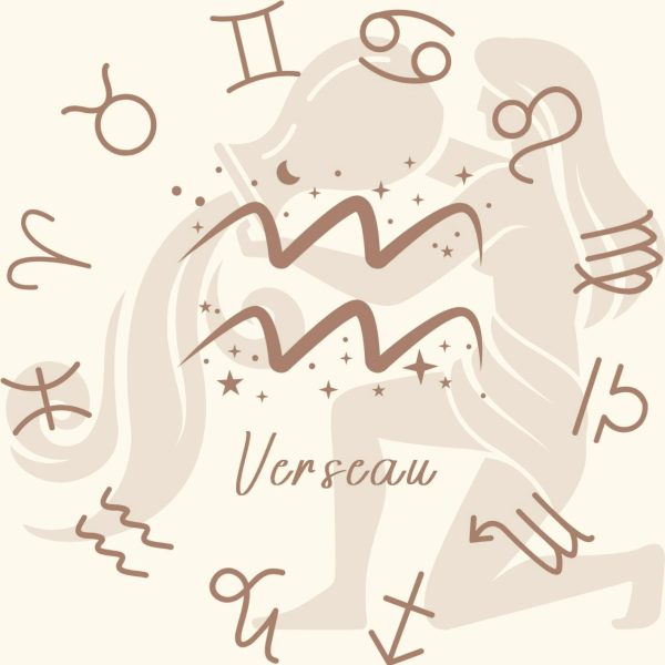 VerseauF Coffret Zodiac Verseau fondants parfumés Howlite